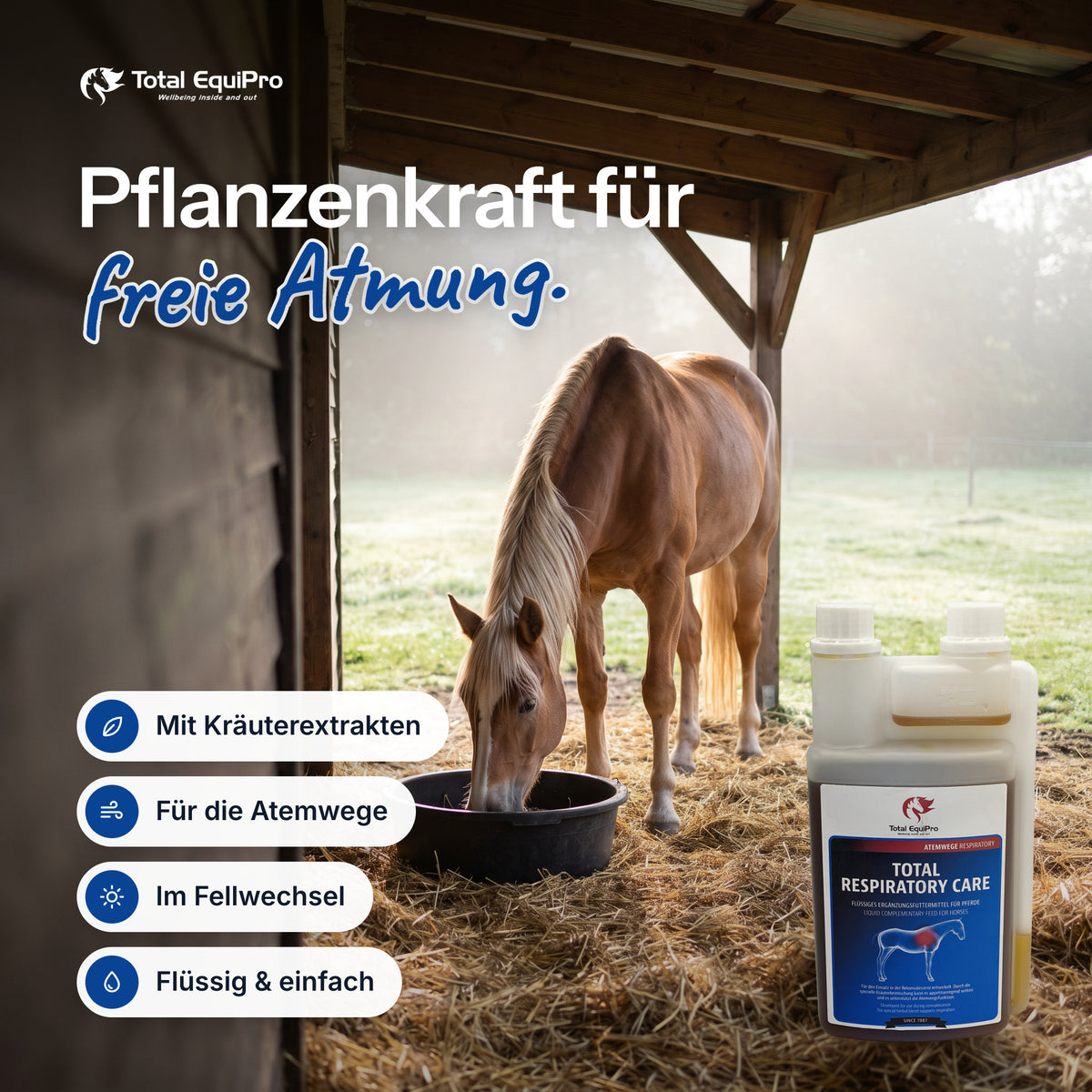 Total Respiratory Care in the stable – plant power for easy breathing.
