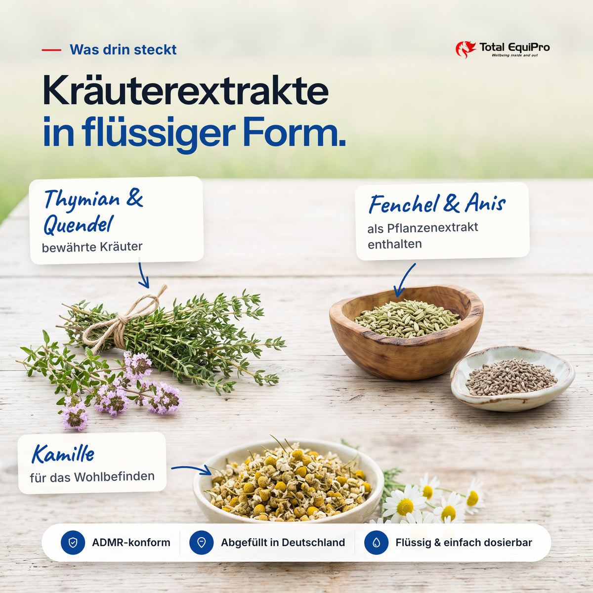 Total Respiratory Care – ingredients: thyme & wild thyme, fennel & anise, chamomile