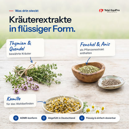 Total Respiratory Care – ingredients: thyme & wild thyme, fennel & anise, chamomile