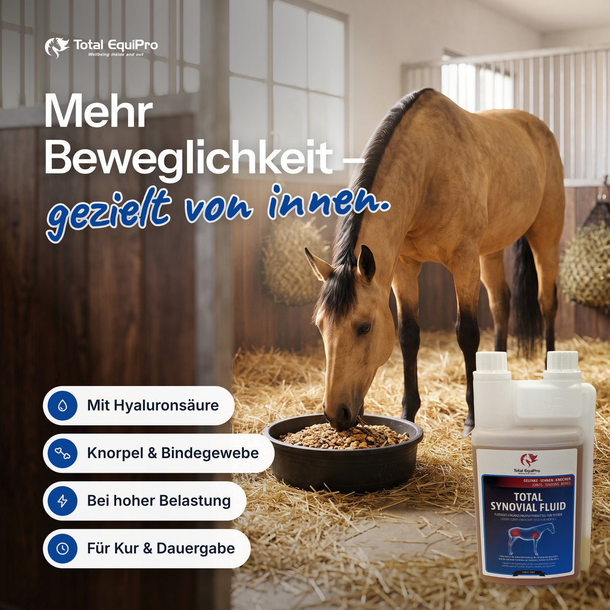 Total Synovial Fluid in the stable – more mobility – targeted from within.