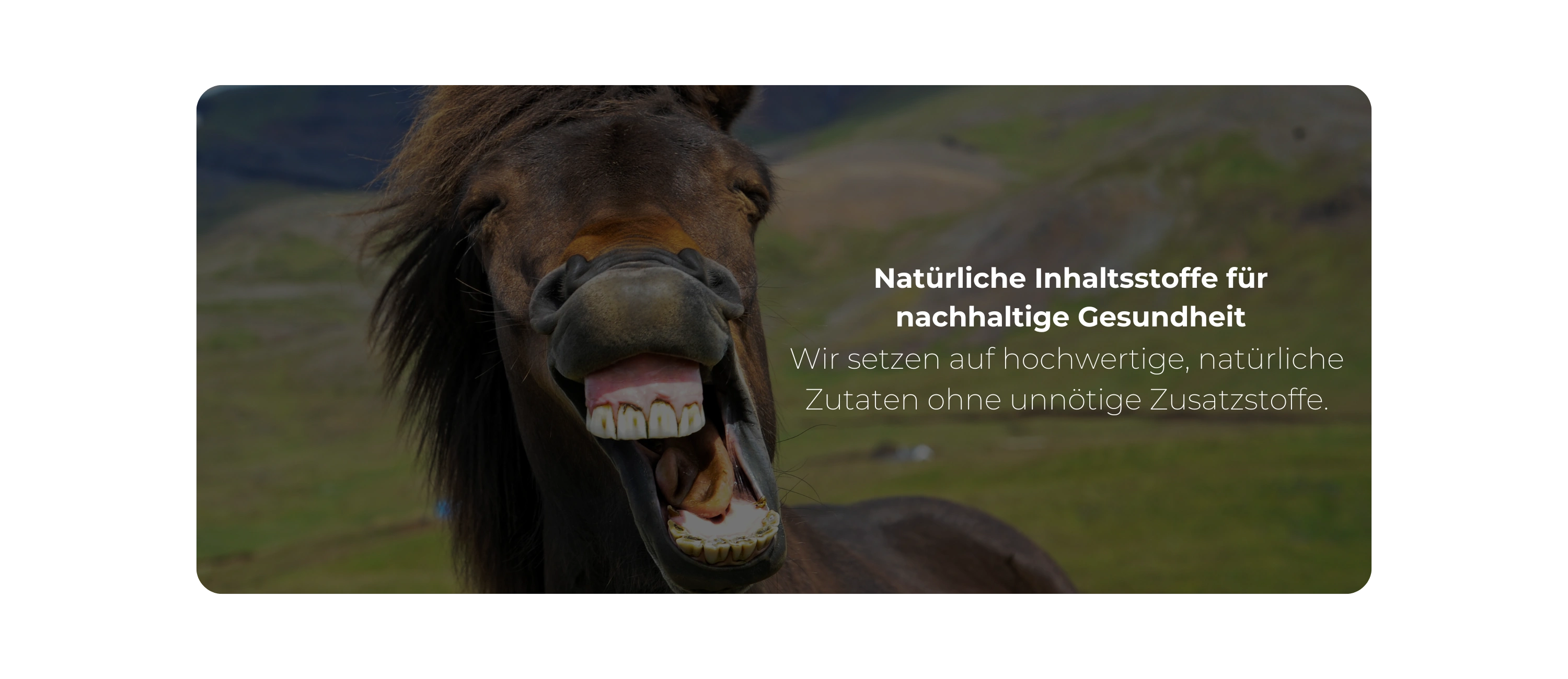 Lachendes Pferd auf Weide, Bannertext zu natürlichen Inhaltsstoffen.