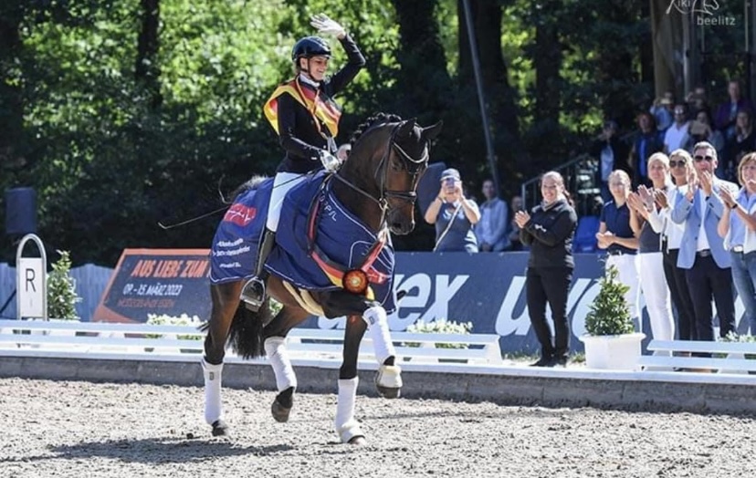 Teamreiter TotalEquipro