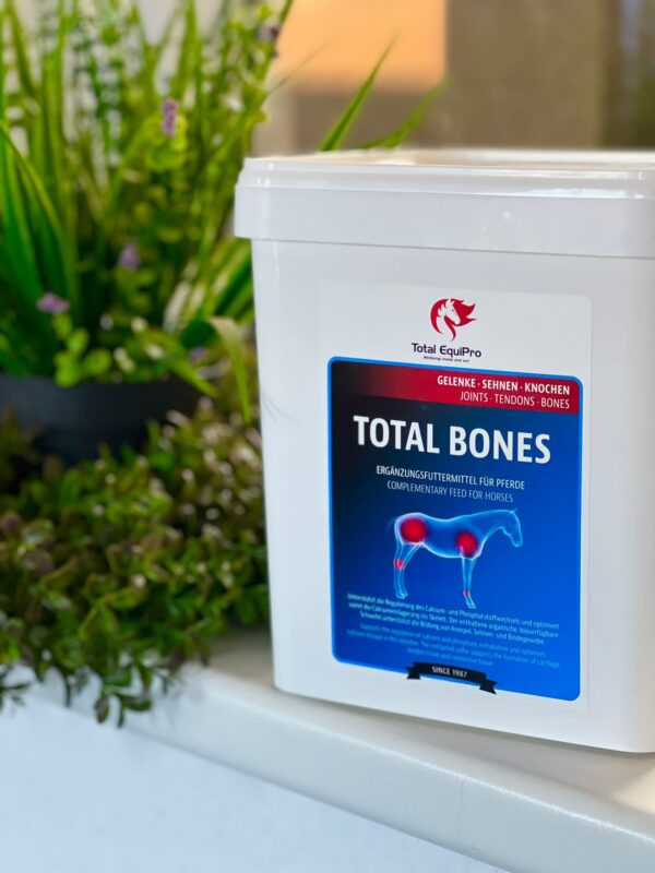 Knochenaufbau Pferd – Mineralstoff-Komplex mit Calcium, Phosphor & Vitamin D3