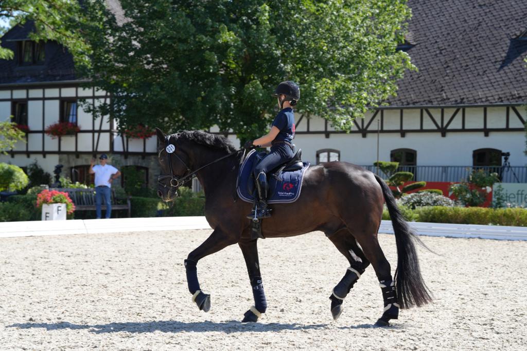 Teamreiter TotalEquipro