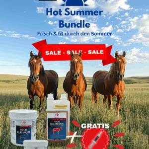 Hot Summer – Frisch & fit durch den Sommer