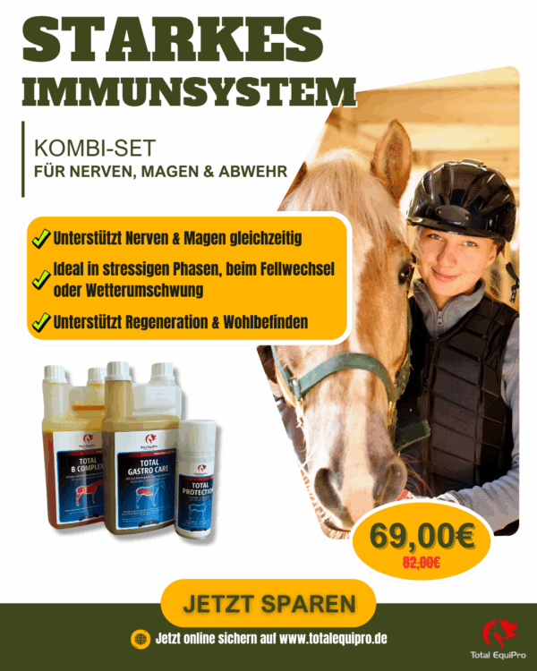 Immunsystem Pferd stärken – Kombi-Set mit TOTAL B Complex, Gastro Care & Protection zur Unterstützung in Stress- oder Rehaphasen